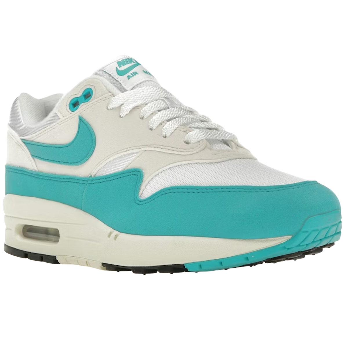 Product Image Nike Air Max 1 Dusty Cactus