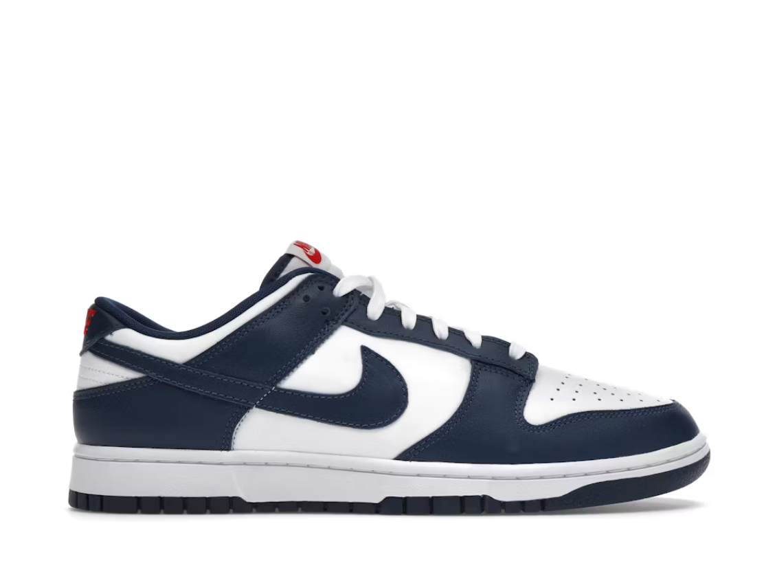 Nike Dunk Low Valerian Blue